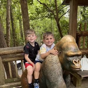 Meet your Posher, Nancy ferrell